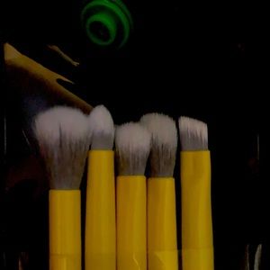 LAVISH Eye shadow Brushes!!!